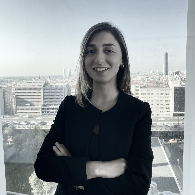 HACER FINDIK, L.L.M.